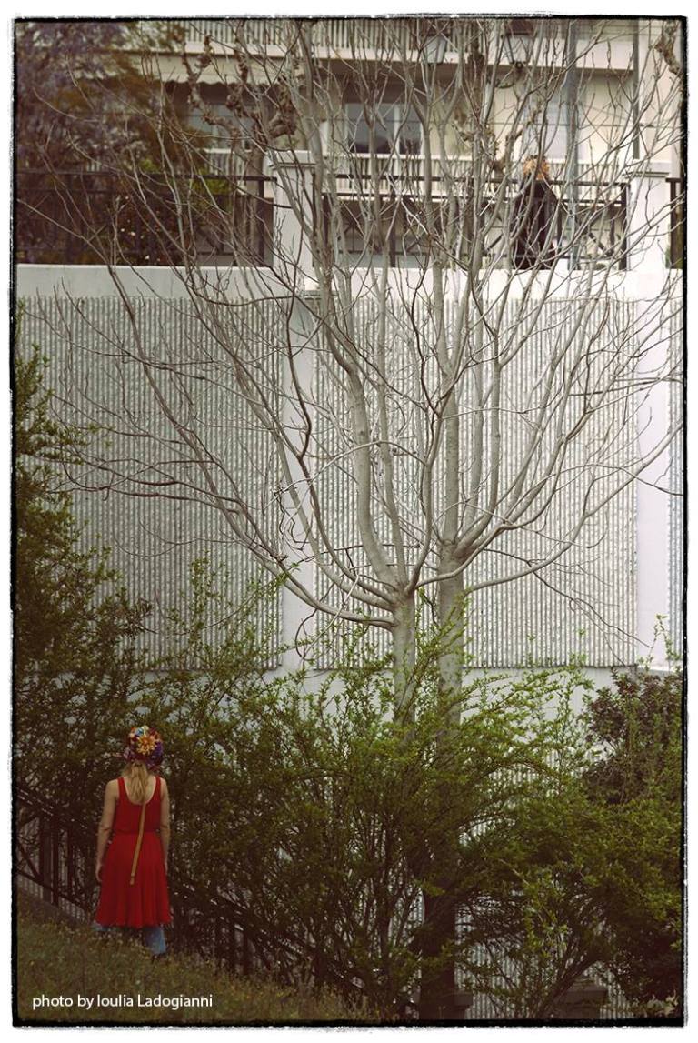 13052589_10153782011858962_1606944267_o