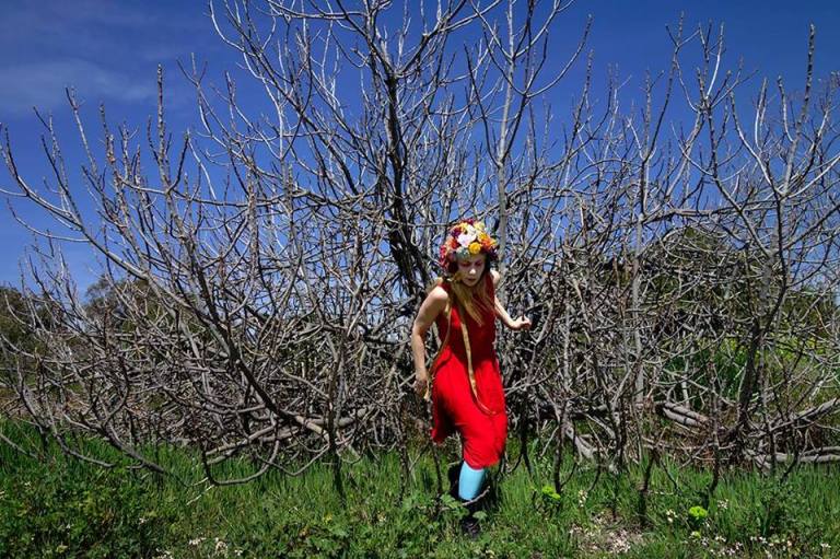 17553493_1894473374169329_5995091467783510901_n